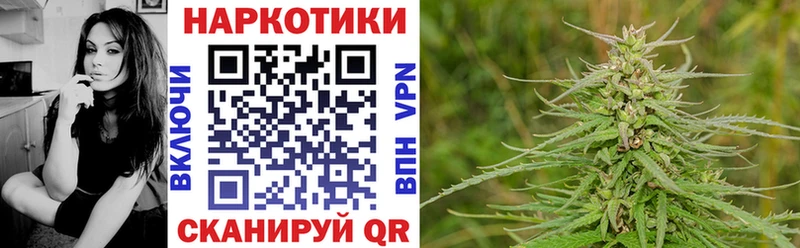 Виды наркоты Отрадная Alpha-PVP  Псилоцибиновые грибы  Каннабис  ГАШ 