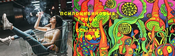 гидра Алексин